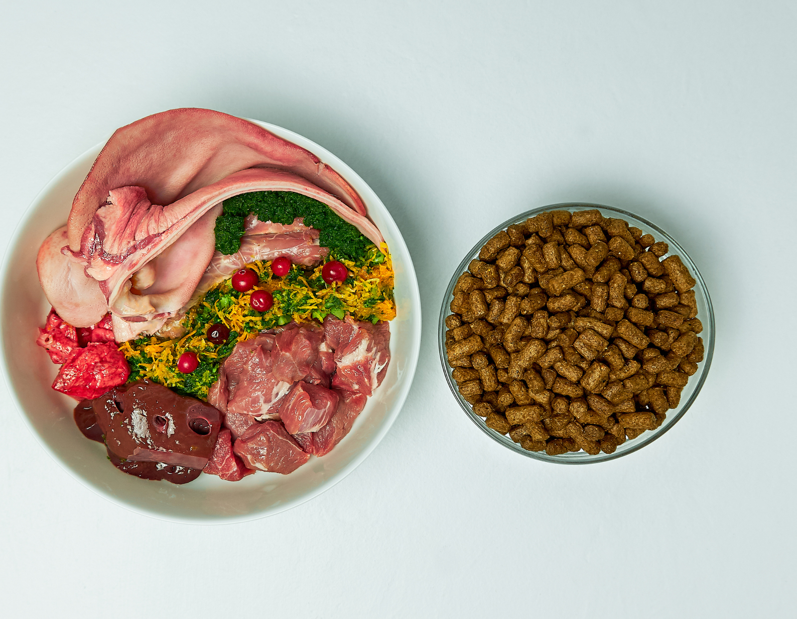 BARF vs. Trockenfutter: Was ist die bessere Wahl für Ihr Haustier?