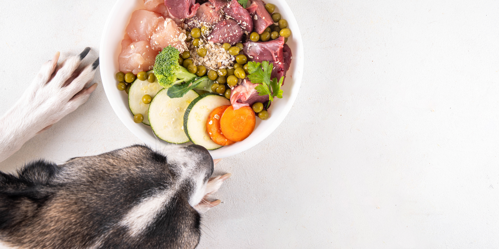 Die Vorteile von BARF für die Gesundheit Ihres Hundes