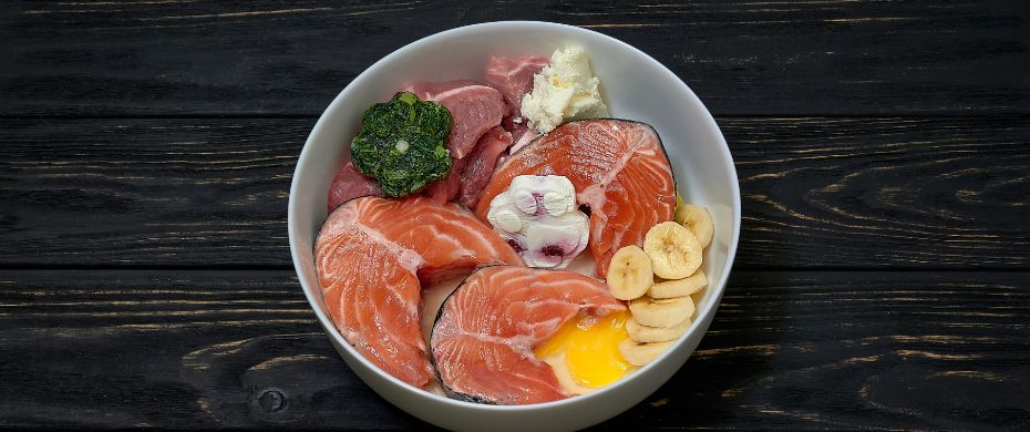 Was ist Barfen? Ein umfassender Leitfaden zur biologisch artgerechten Rohfütterung