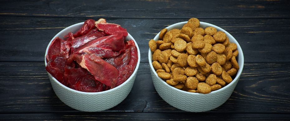 Warum Barfen? Die Natürliche Ernährung für Hunde und Katzen