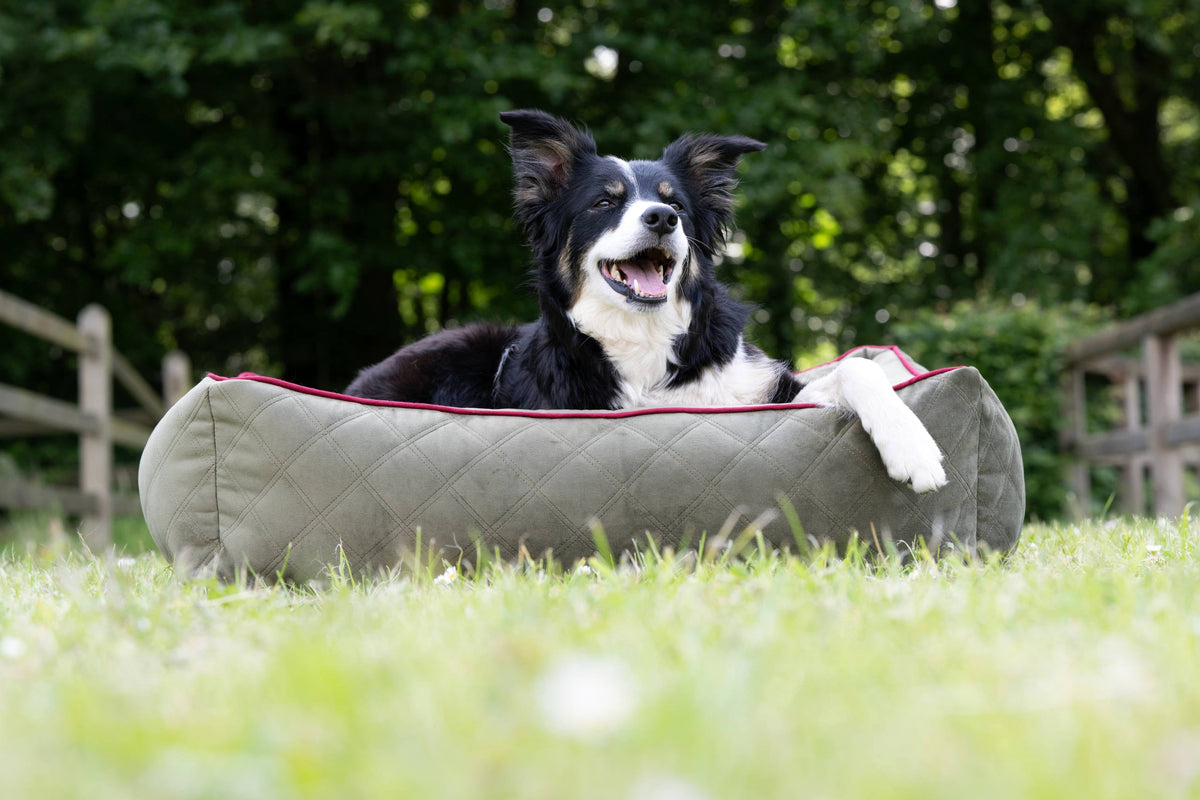 LABONI CLASSIC Hundebett  - OXFORD OLIVE