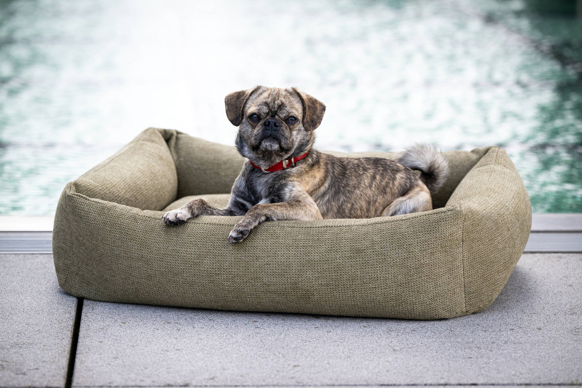 LABONI CLASSIC Hundebett  - TUDOR OLIVE