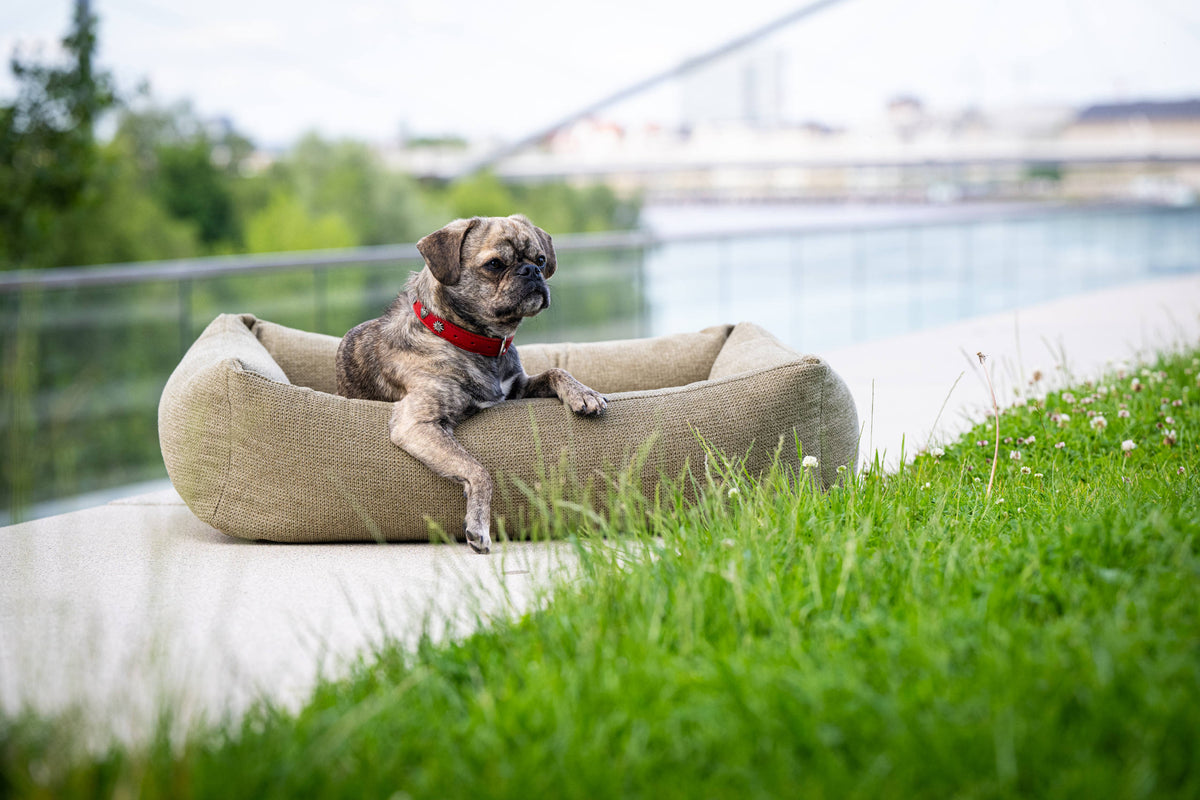 LABONI CLASSIC Hundebett  - TUDOR OLIVE