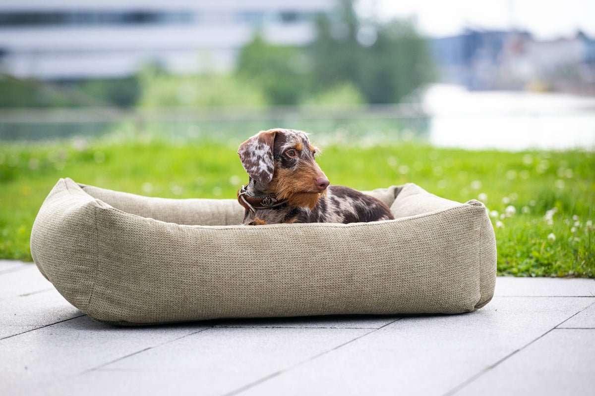 LABONI CLASSIC Hundebett  - TUDOR OLIVE