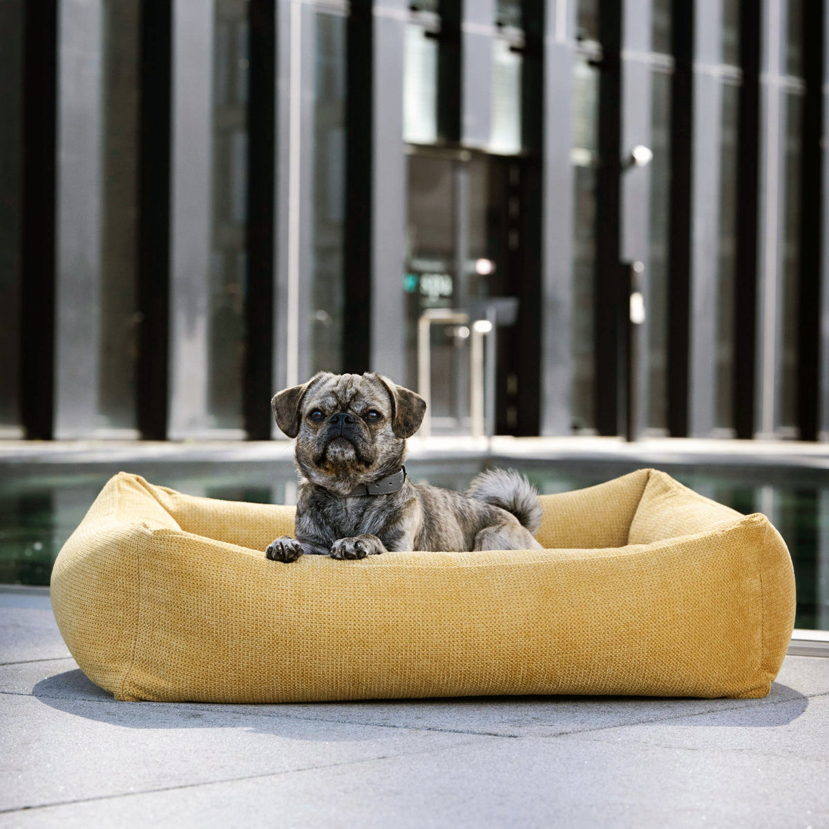 LABONI CLASSIC Hundebett  - TUDOR GOLD