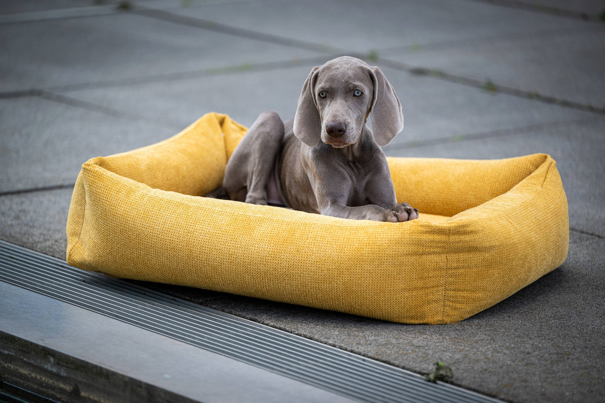 LABONI CLASSIC Hundebett  - TUDOR GOLD