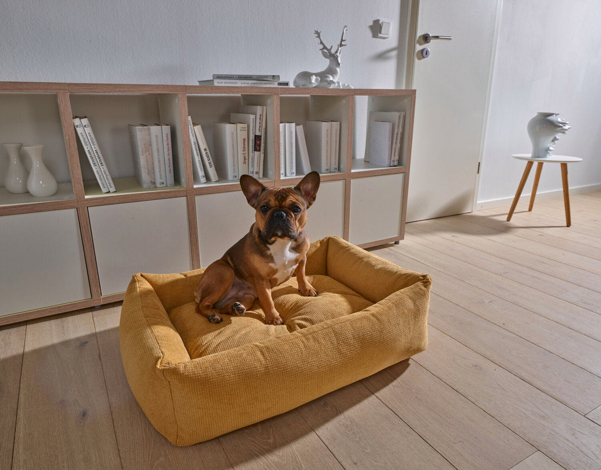 LABONI CLASSIC Hundebett  - TUDOR GOLD