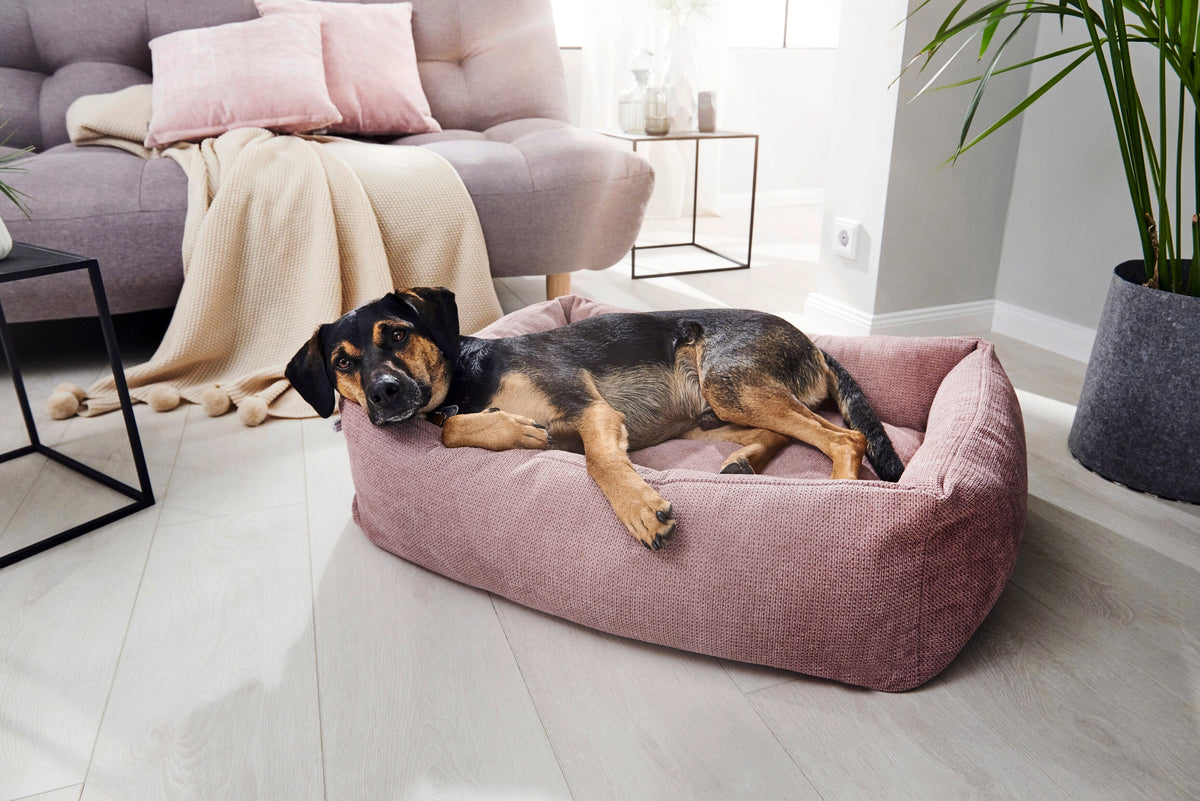 LABONI CLASSIC Hundebett  - TUDOR ROSE