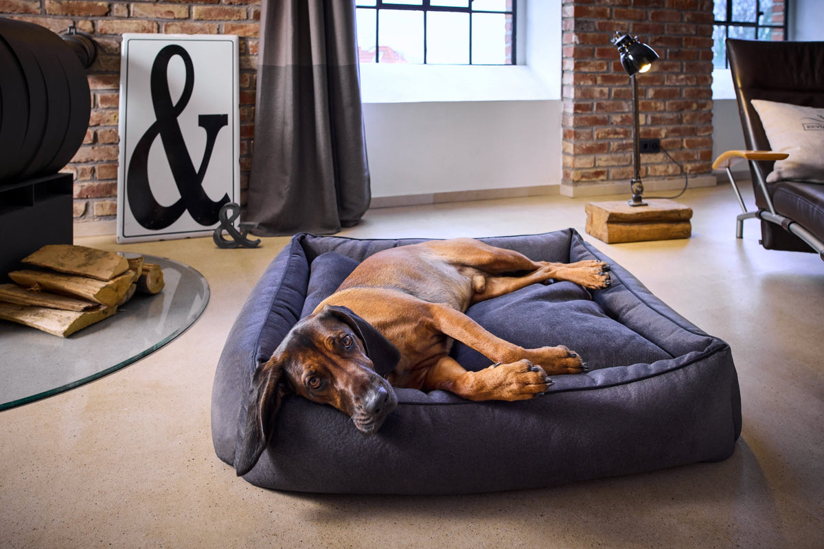 LABONI CLASSIC Hundebett  - BUFFALO GRAPHITE