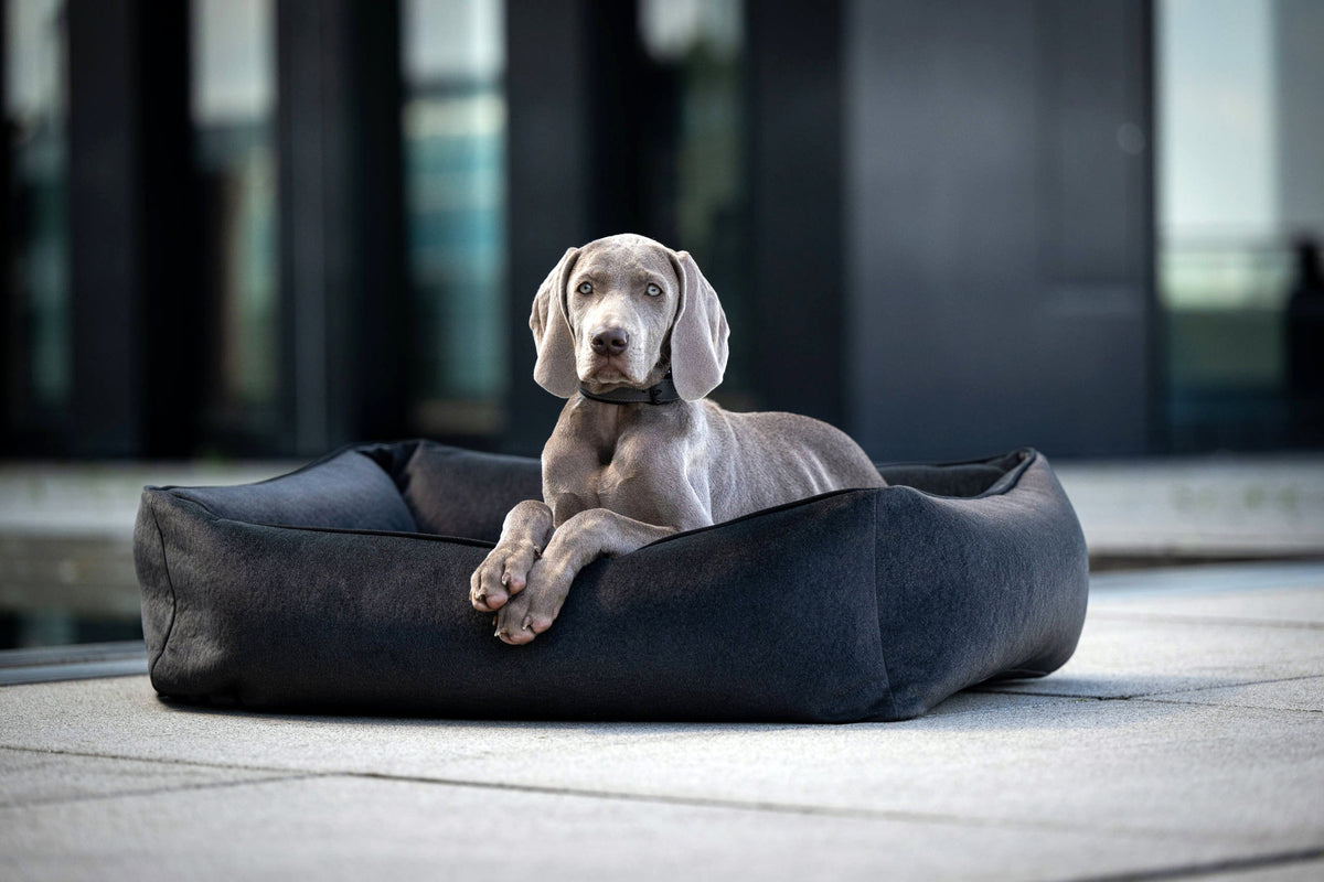 LABONI CLASSIC Hundebett  - BUFFALO GRAPHITE