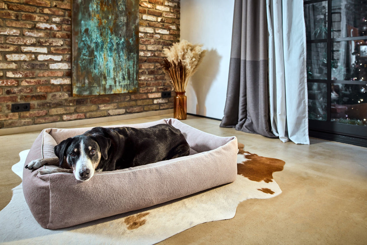 LABONI CLASSIC Hundebett  - BUFFALO CREME