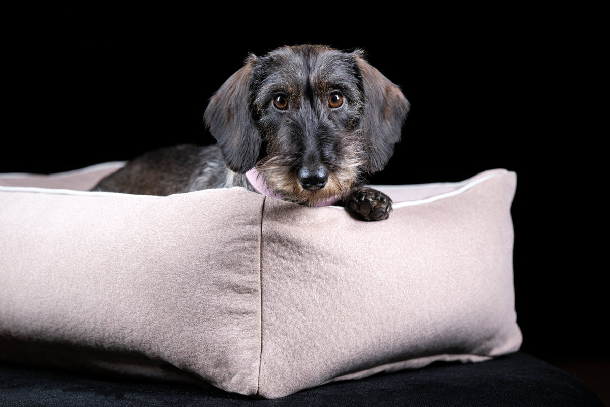 LABONI CLASSIC Hundebett  - BUFFALO CREME