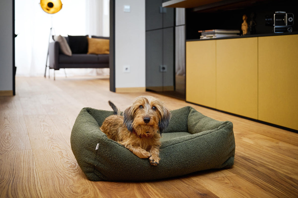 LABONI CLASSIC Hundebett  - TEDDY GREEN