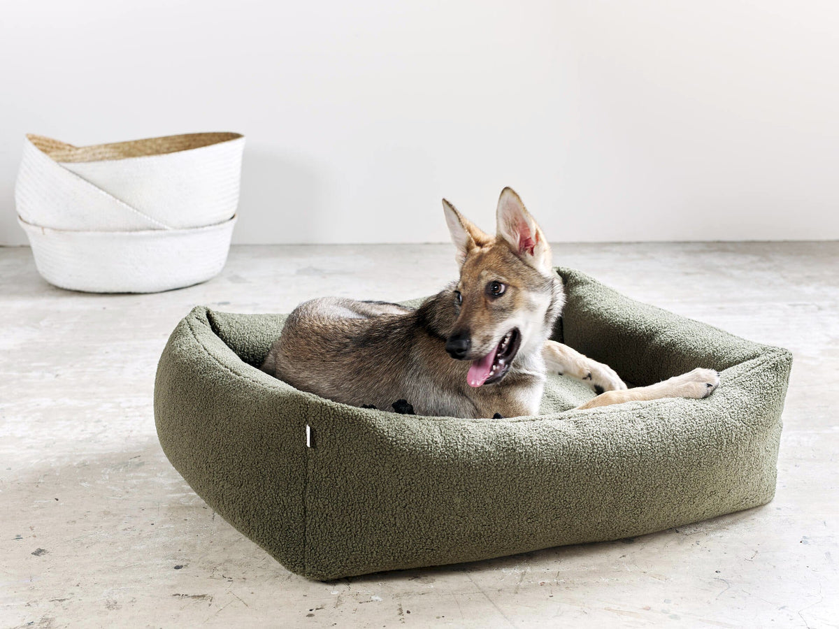 LABONI CLASSIC Hundebett  - TEDDY GREEN