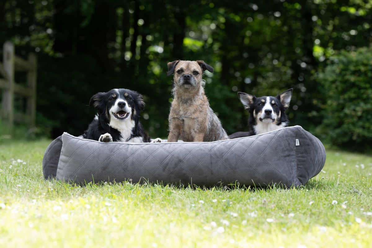 LABONI ORTHO Hundebett  - OXFORD STONE