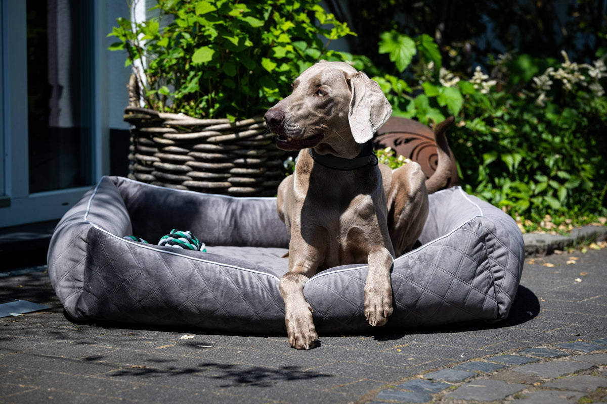 LABONI ORTHO Hundebett  - OXFORD STONE