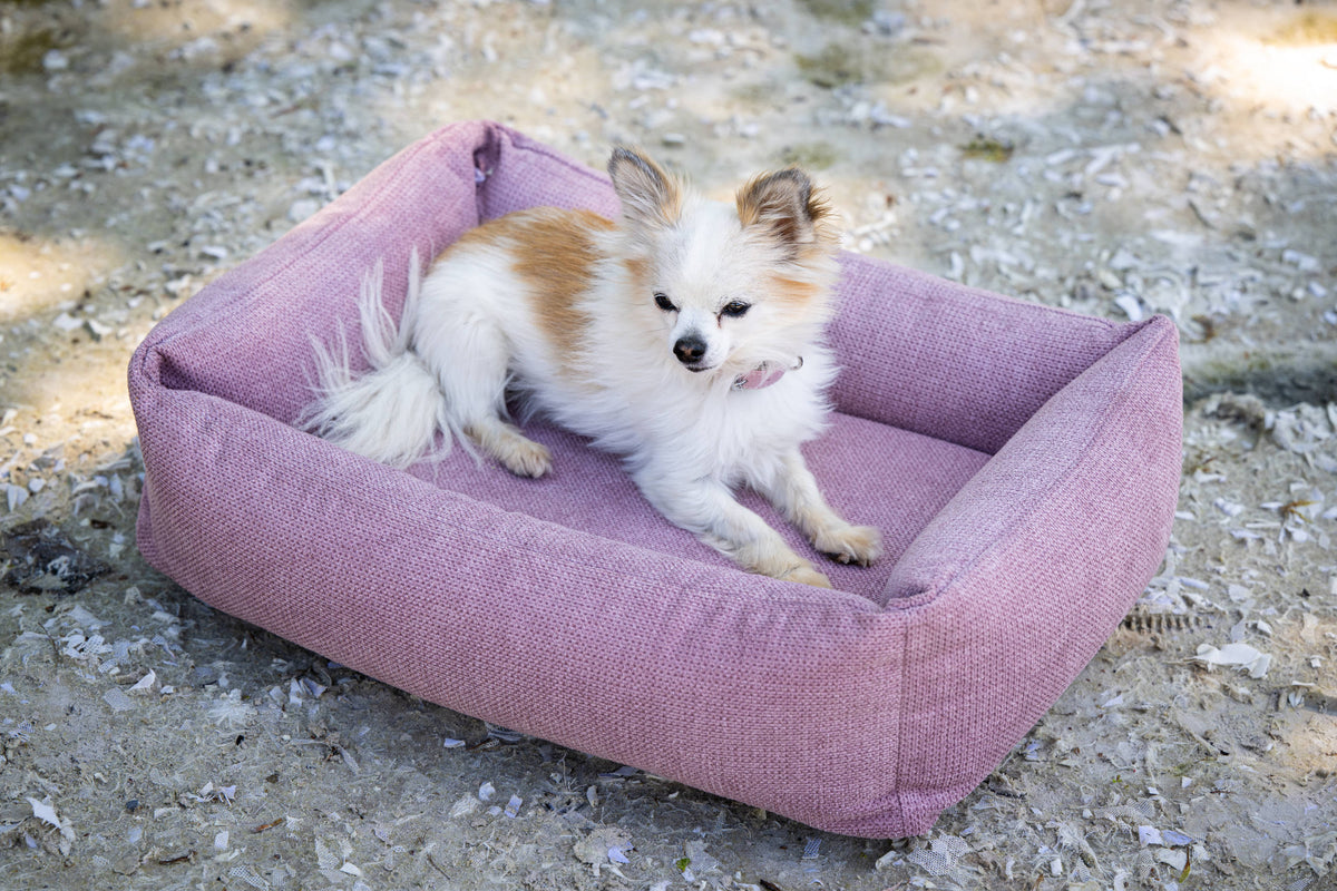 LABONI ORTHO Hundebett  - TUDOR ROSE