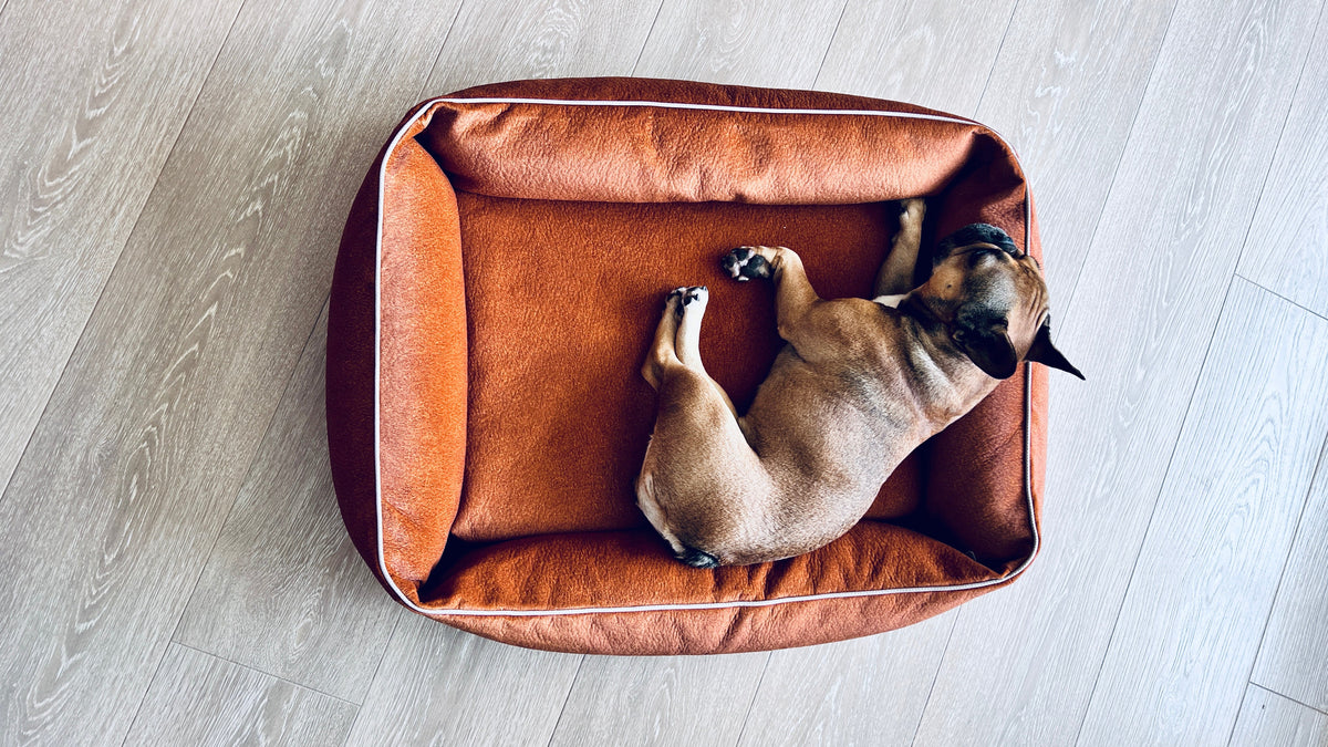 LABONI ORTHO Hundebett  - BUFFALO CAMEL