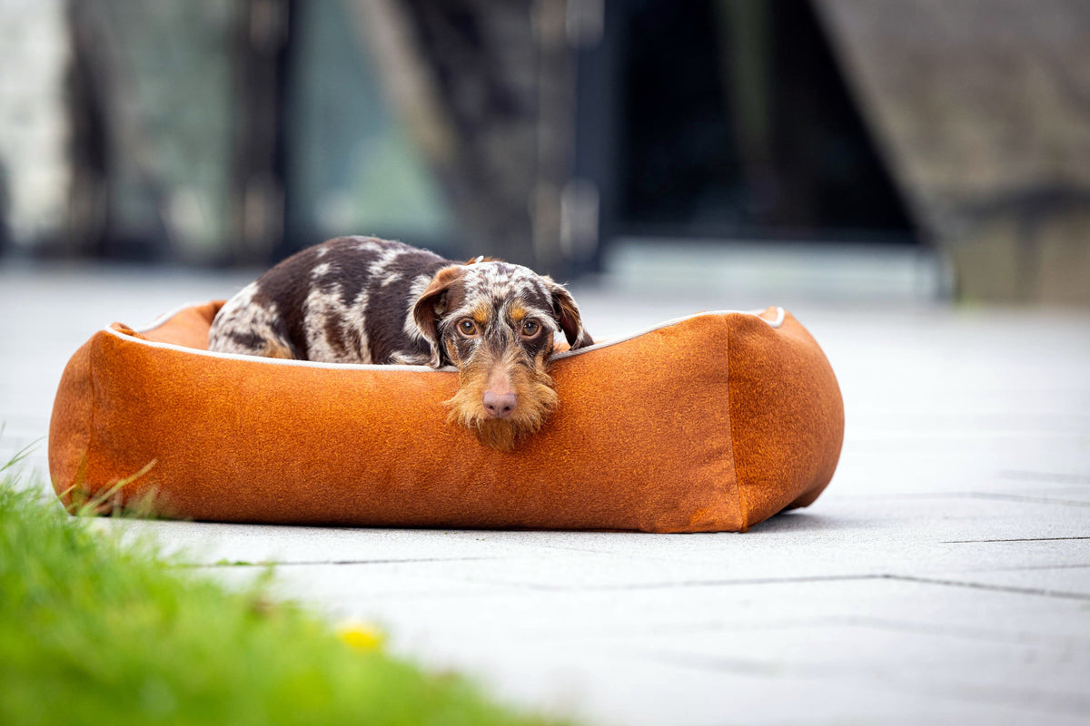 LABONI ORTHO Hundebett  - BUFFALO CAMEL