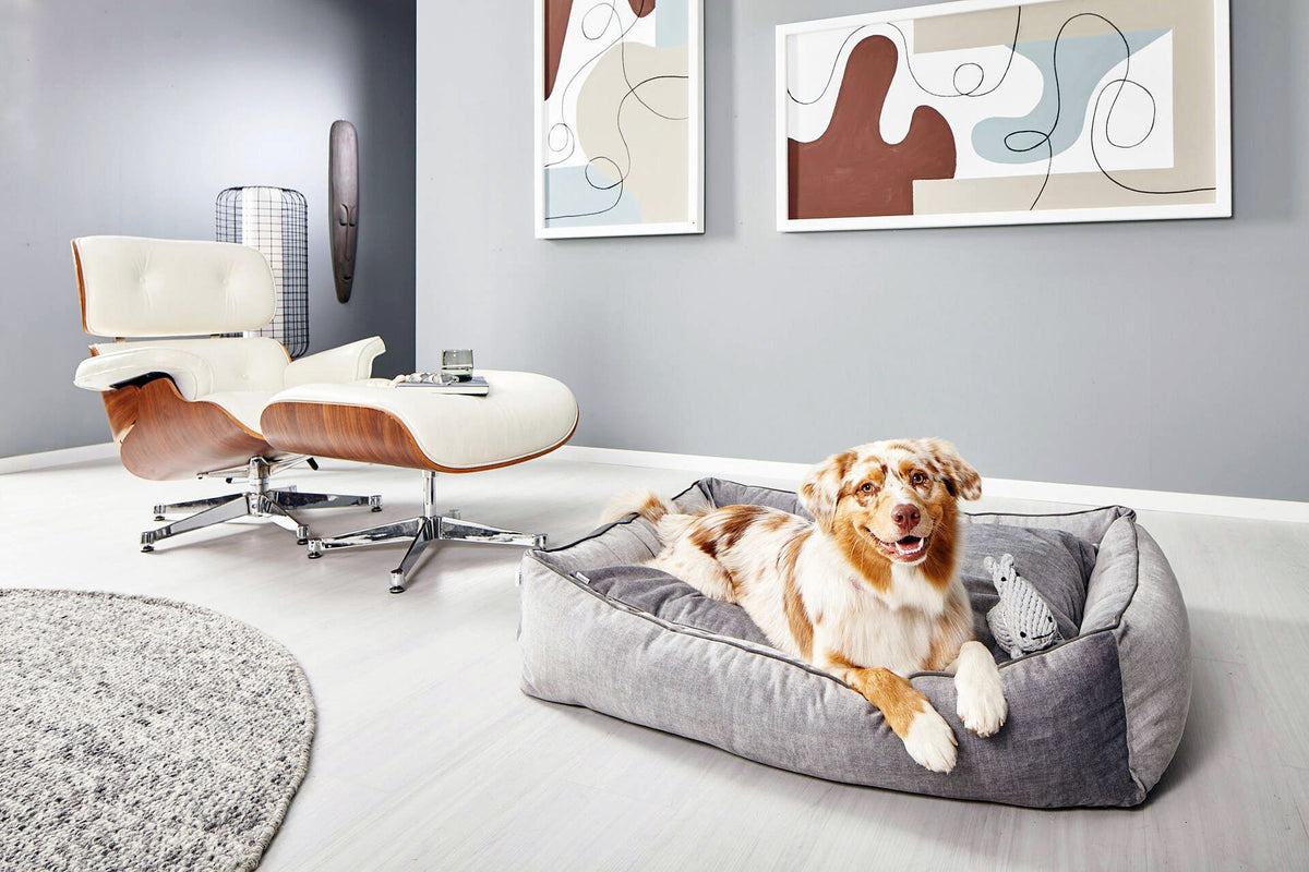 LABONI ORTHO Hundebett  - GLAM SILVER