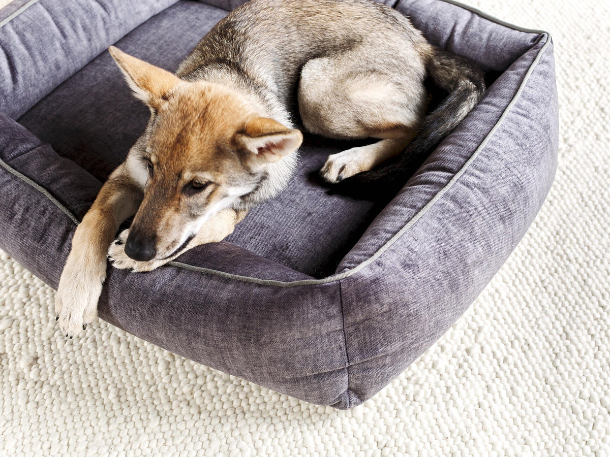 LABONI ORTHO Hundebett  - GLAM GRAPHITE