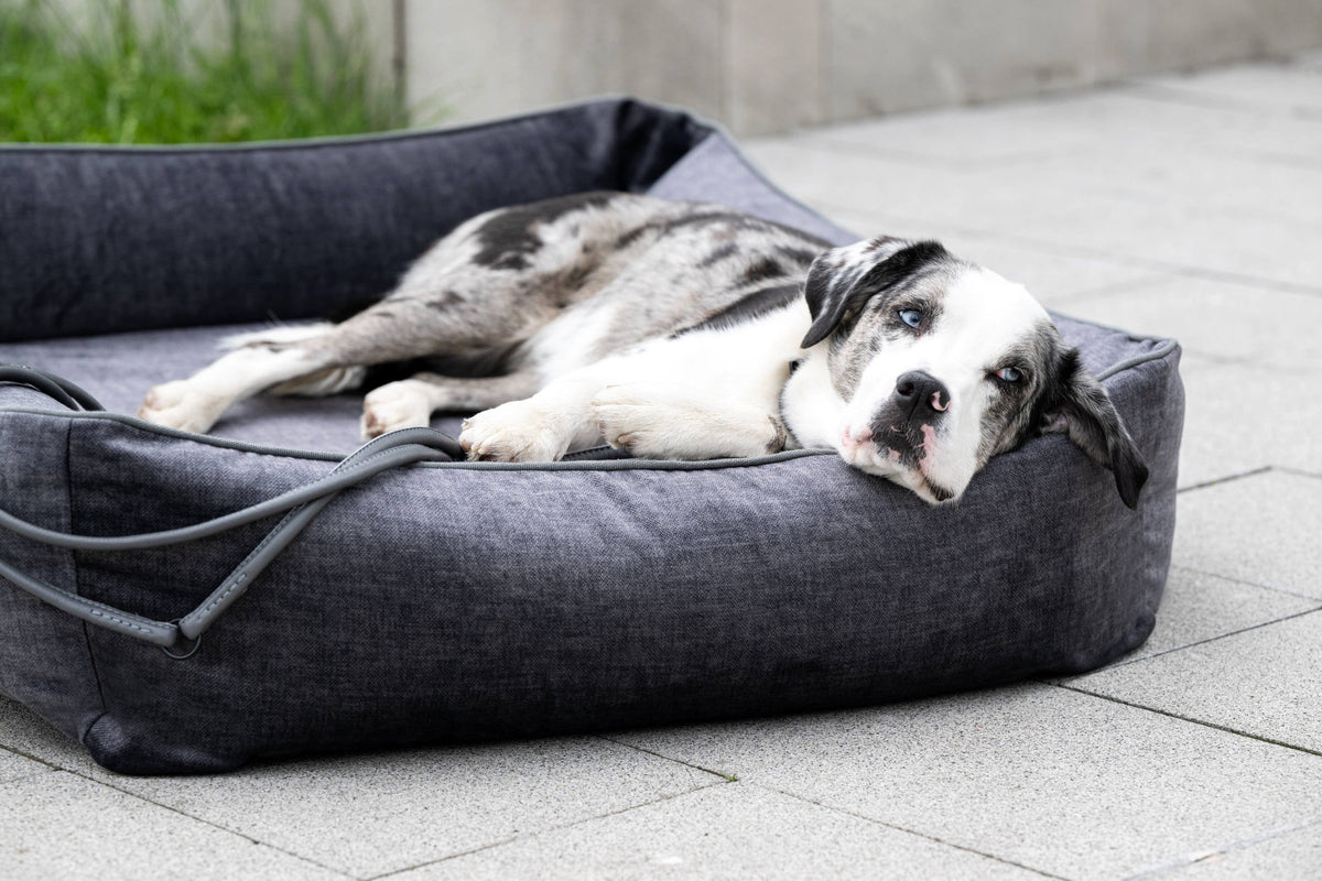 LABONI ORTHO Hundebett  - GLAM GRAPHITE