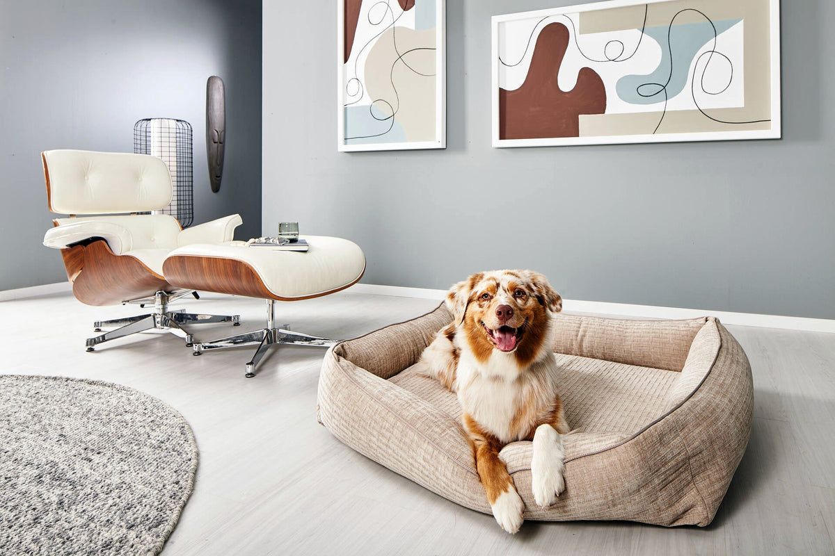 LABONI ORTHO Hundebett  - NOVA CREME