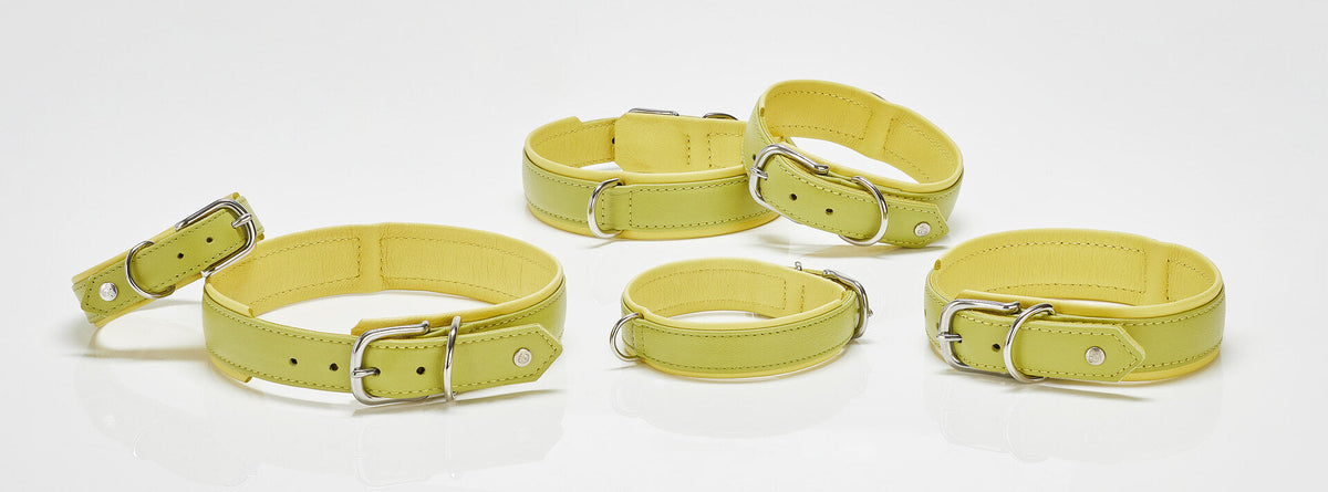 AMICI Lemon - Stylishe Halsband-Leinen-Kombination