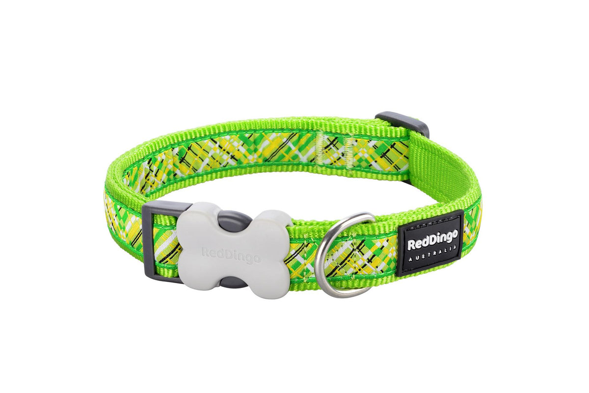 Hundehalsband Design Lime Grün XS