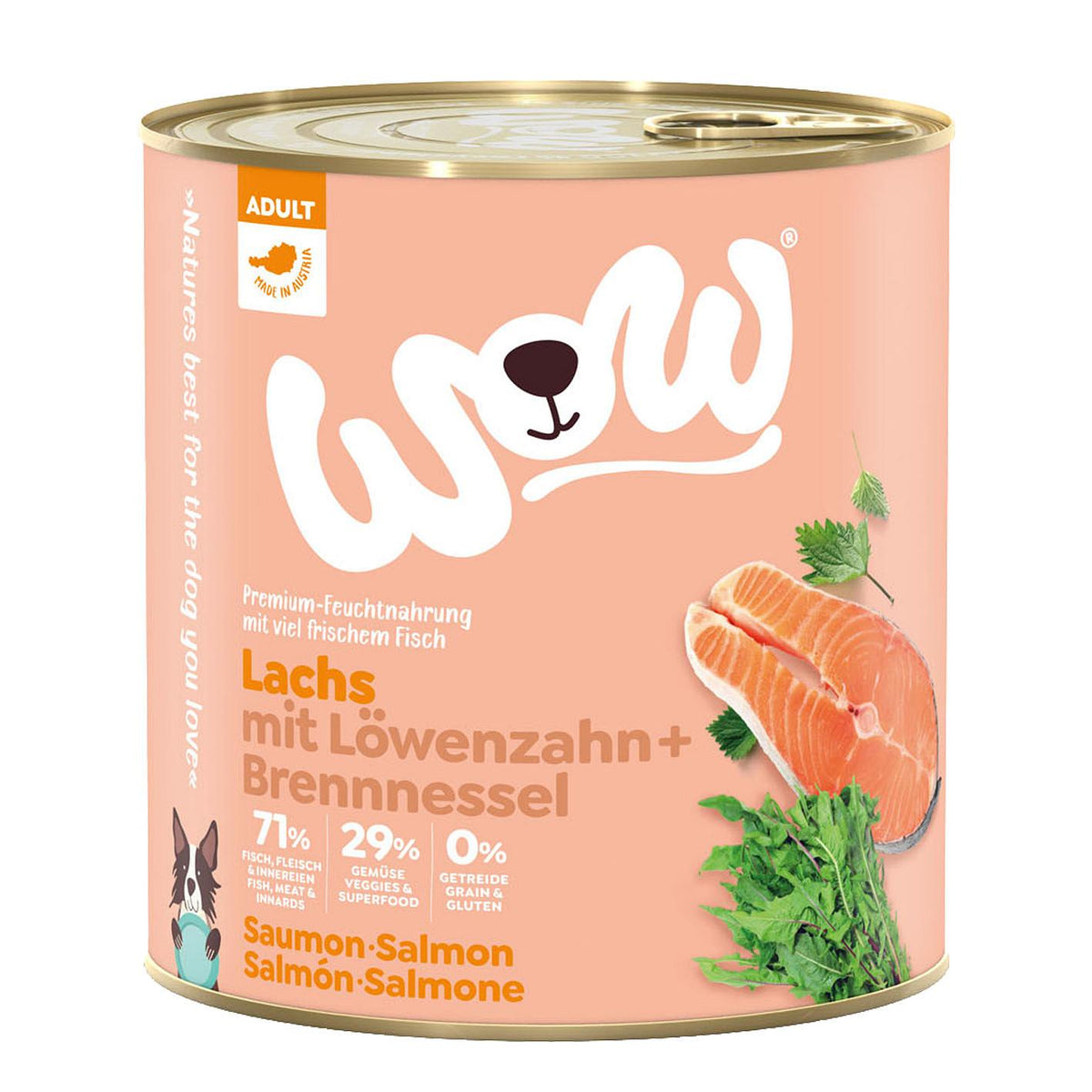 Adult Lachs mit Fleisch, 800g