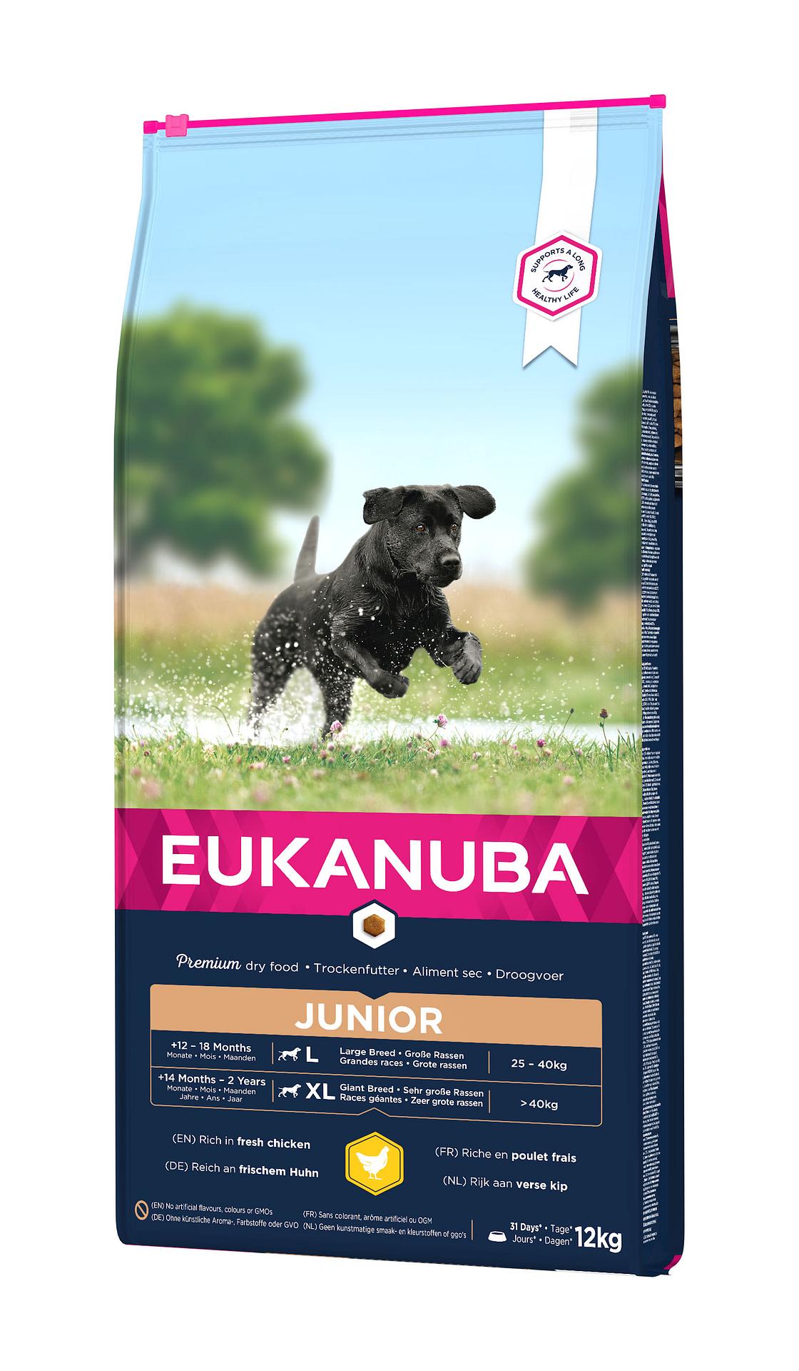 Junior Large