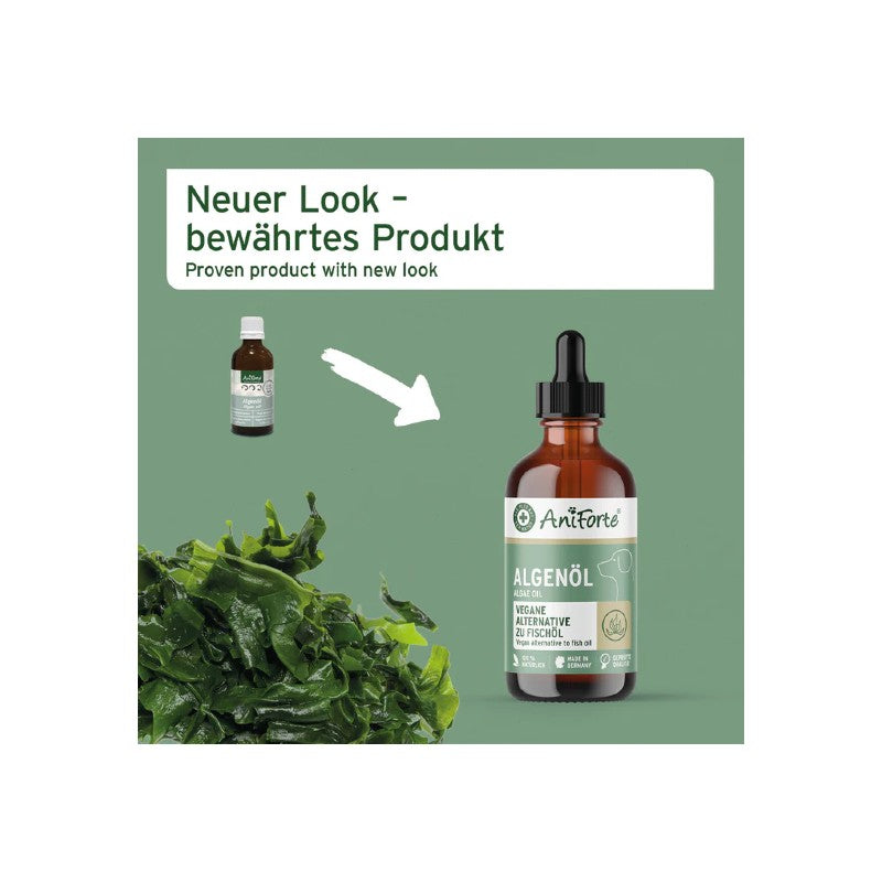 AniForte Algenöl