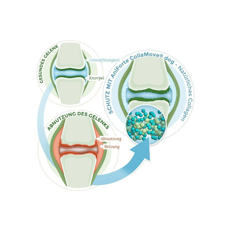 AniForte Kollagen Pulver