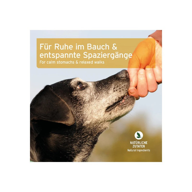 AniForte Gras- & Kotfresser Snack