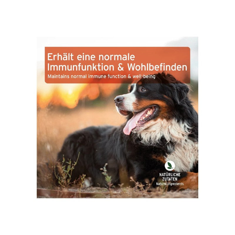 AniForte Immun-Boost Snack