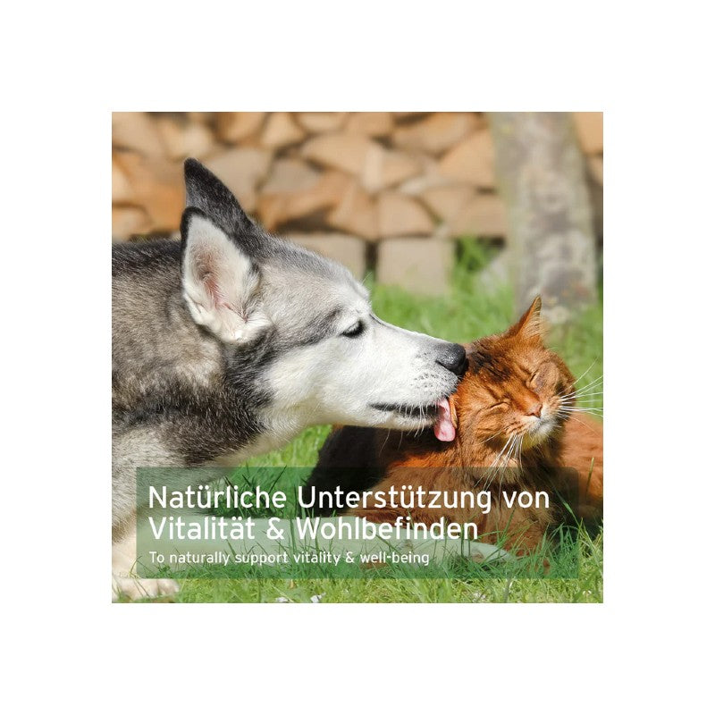 AniForte Muschelkraft