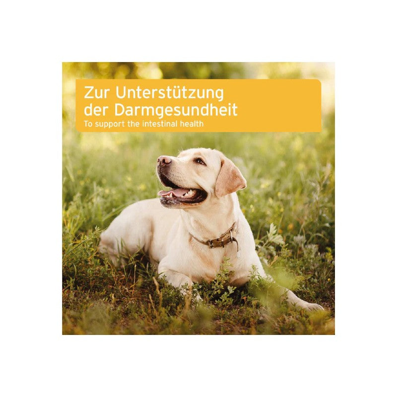 AniForte Probiotikum