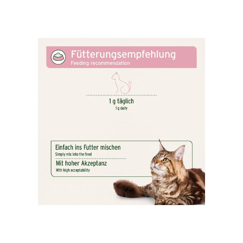 AniForte 4in1 Complete Cat