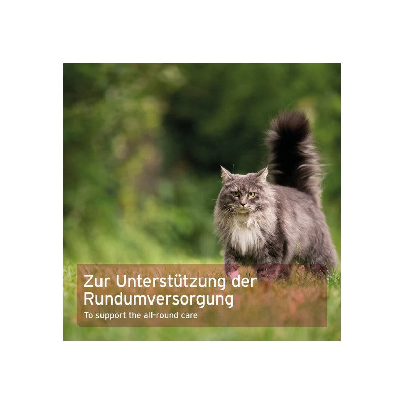 AniForte 4in1 Complete Cat