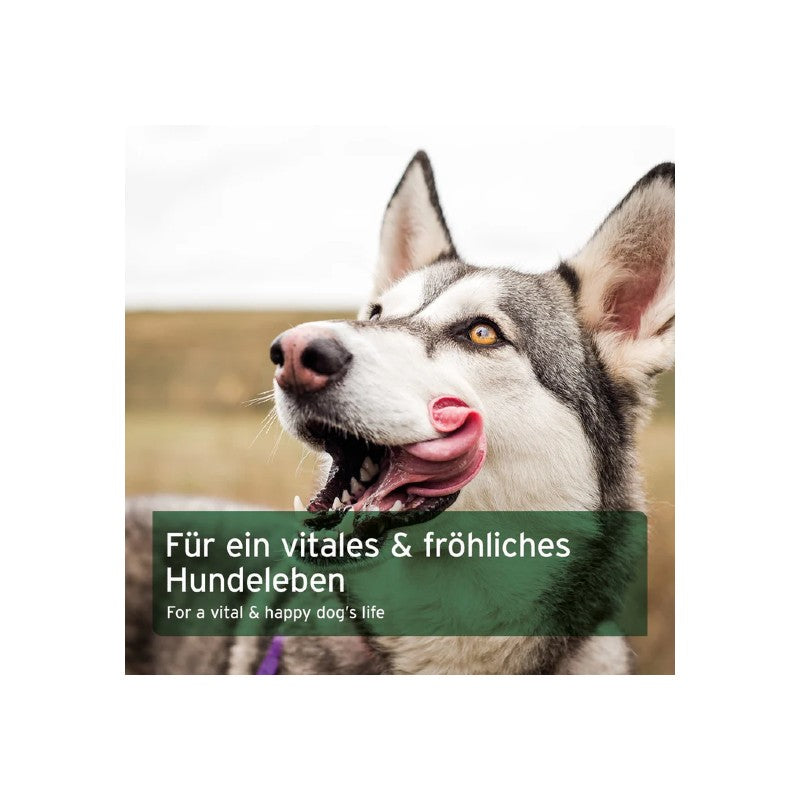 AniForte Barf Complete