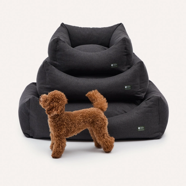 Cafide Anthrazitschwarzes Hundebett, Snozy