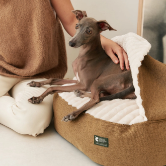 Lit pour chien en velours côtelé marron Cafide avec capuche