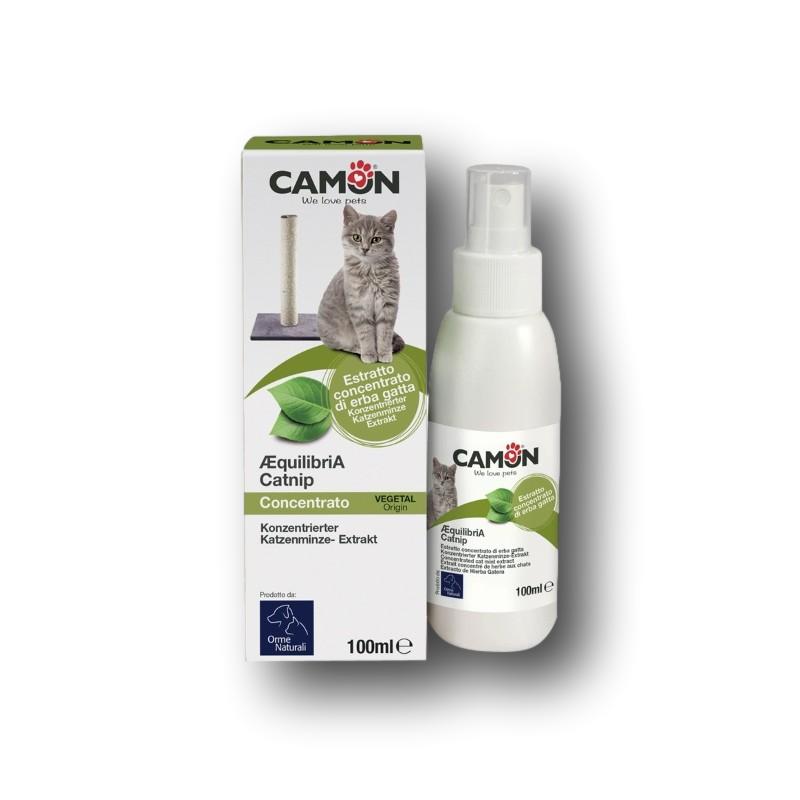Camon Catnip Katzenminze Extrakt