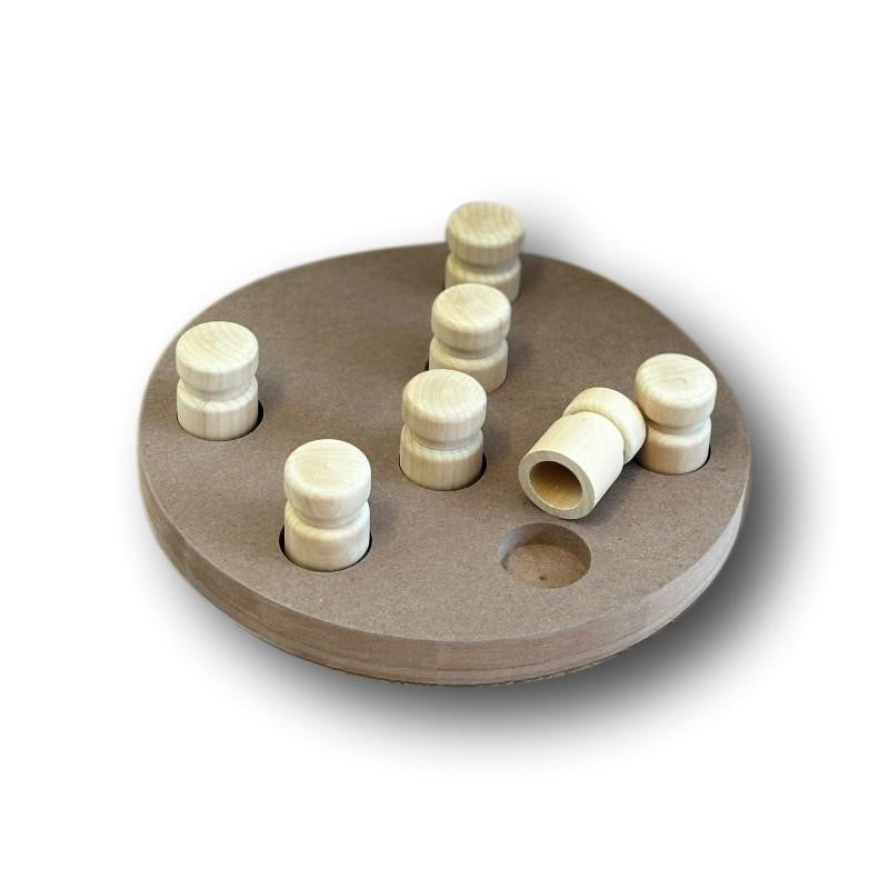 Karlie Doggy Brain Train