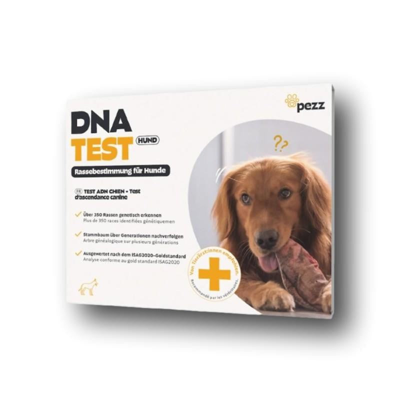 Pezz DNA Test Hund