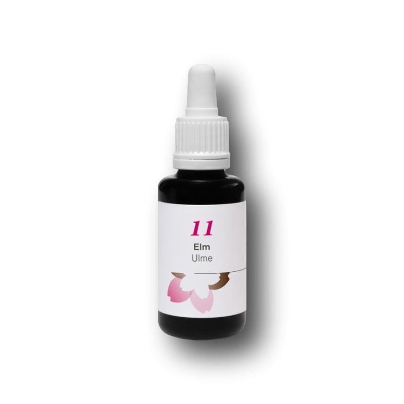 Phytodor Nr. 11 - Elm / Ulme