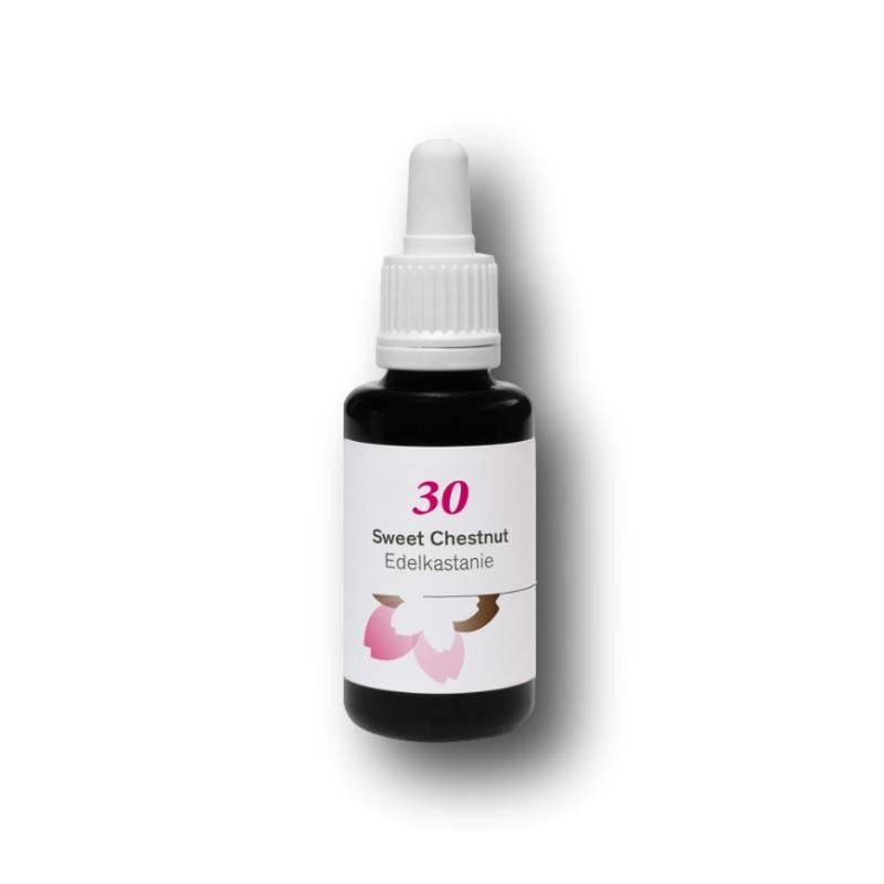 Phytodor Nr. 30 - Sweet Chestnut / Edelkastanie